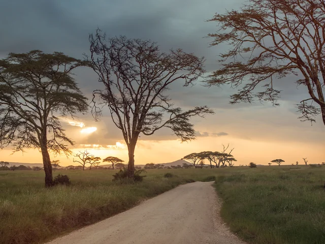 Upgraded Safari in Kenya & Tanzania