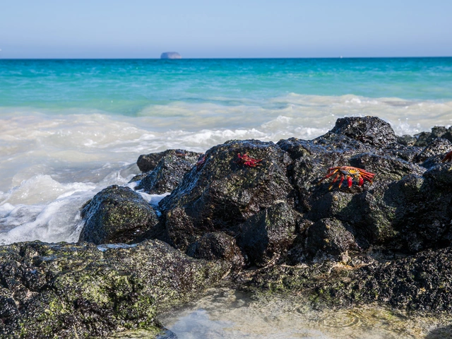 Galápagos — South & East Islands aboard the Monserrat