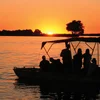 Botswana Safari