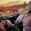 Amboseli Safari Experience