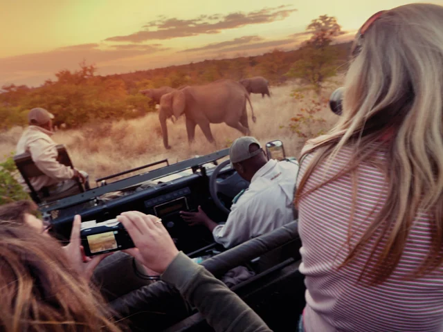 Amboseli Safari Experience