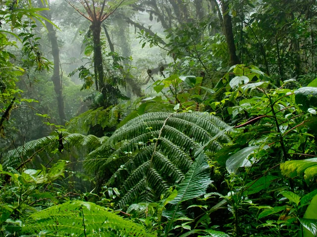 Costa Rica Volcanoes & Cloud Forest Independent Adventure