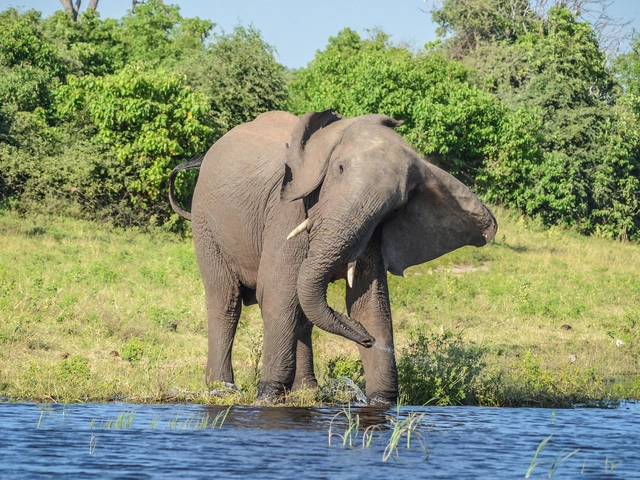 Botswana & Victoria Falls Adventure