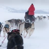 Lapland Active Adventure