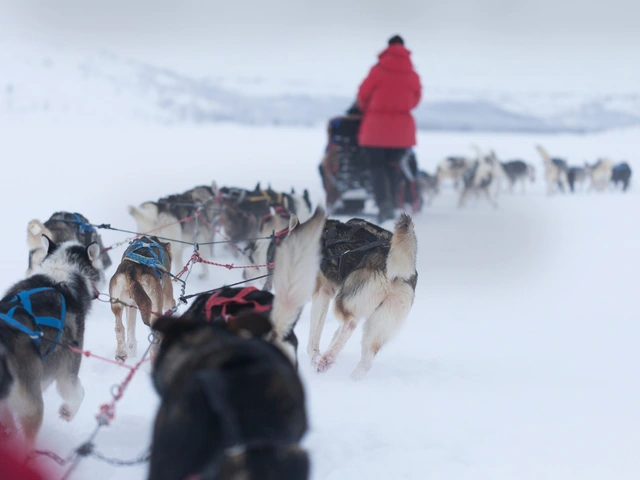 Lapland Active Adventure