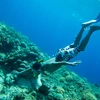 Active Bali