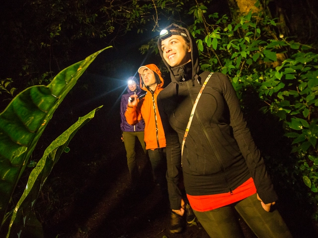 Costa Rica Adventure — Plus