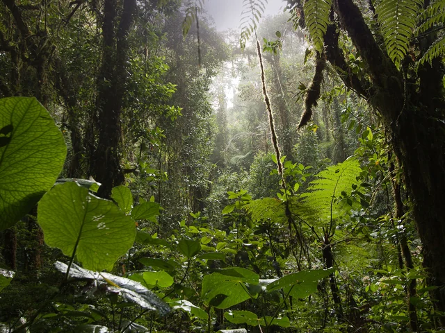 Natural Highlights of Costa Rica