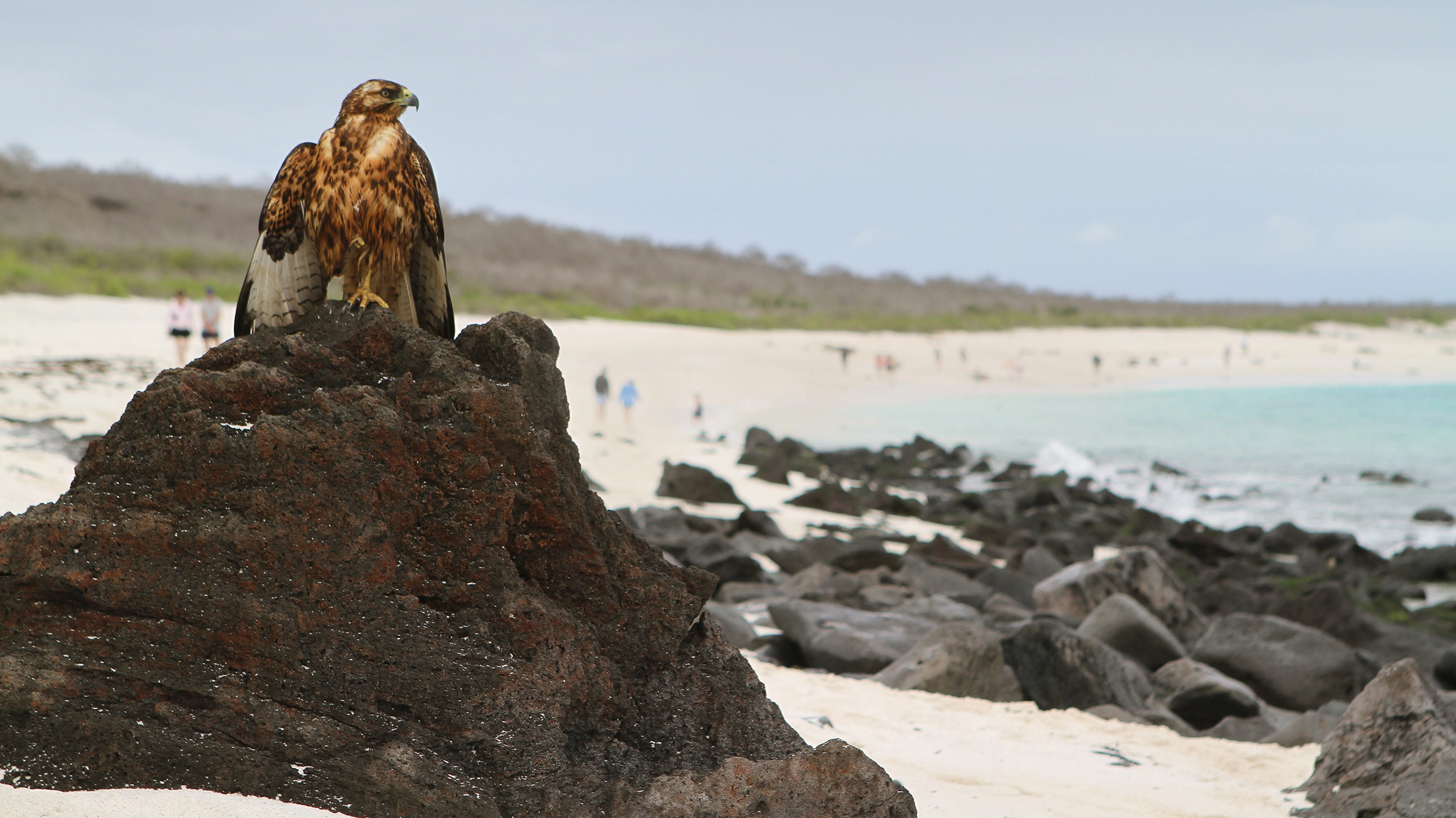 Discover Machu Picchu and Galápagos - Land & Sea Central Islands