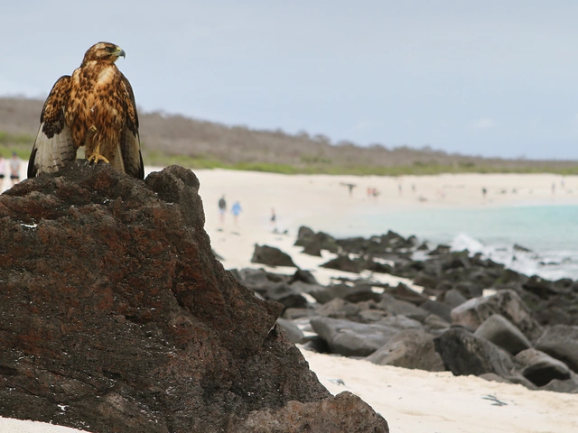 Discover Machu Picchu and Galápagos - Land & Sea Central Islands