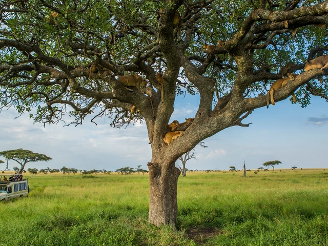 Tanzania Family Journey: A Serengeti Safari