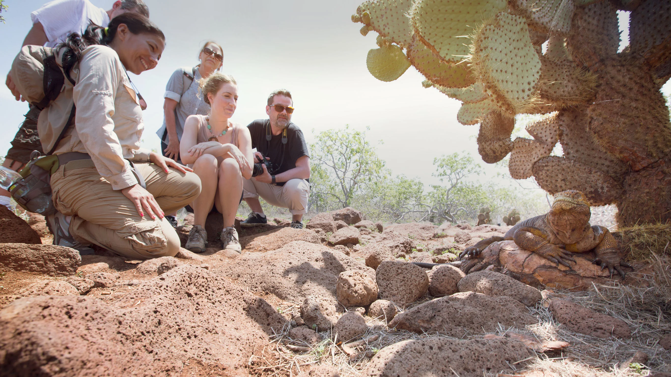 Land Galápagos in Style