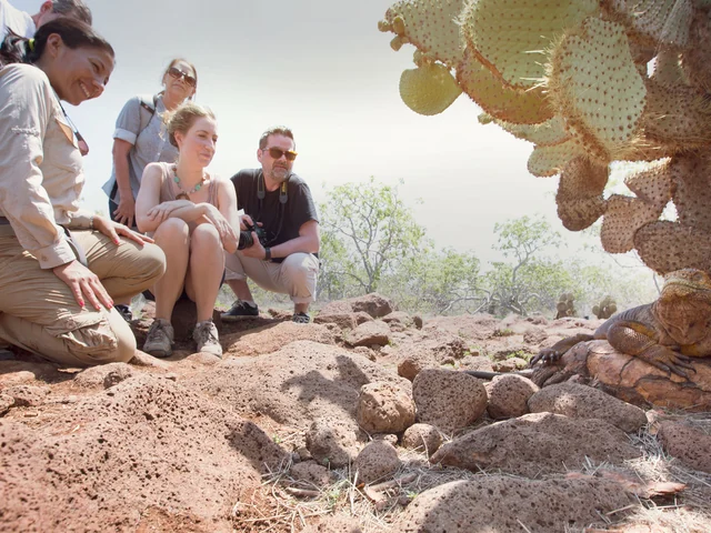 Land Galápagos in Style