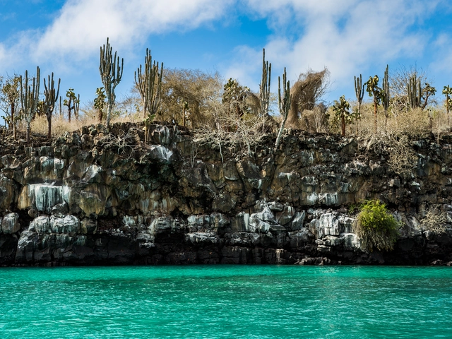 Galápagos — North & Central Islands aboard the Evolution