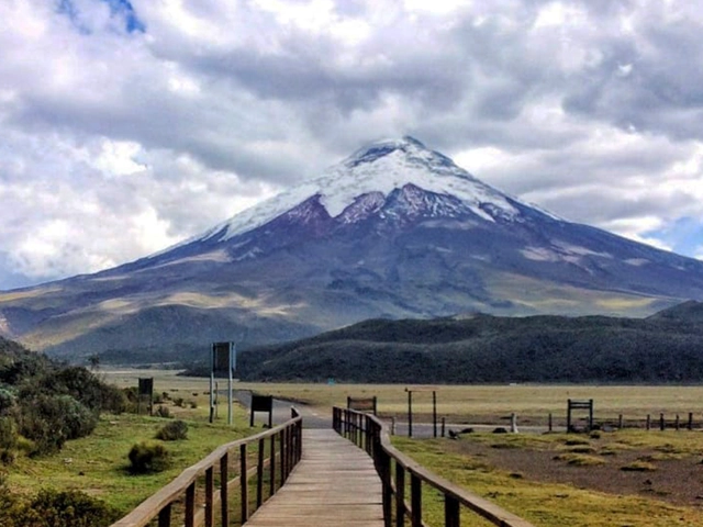 TailorMade Ecuador: Natural Highlights