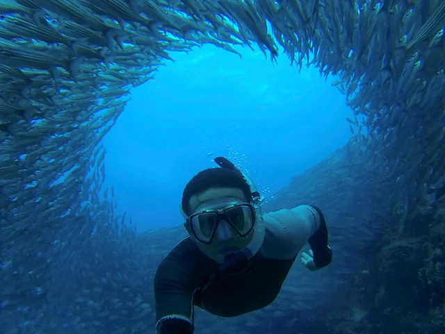 Galápagos – Central and East Islands aboard the Integrity