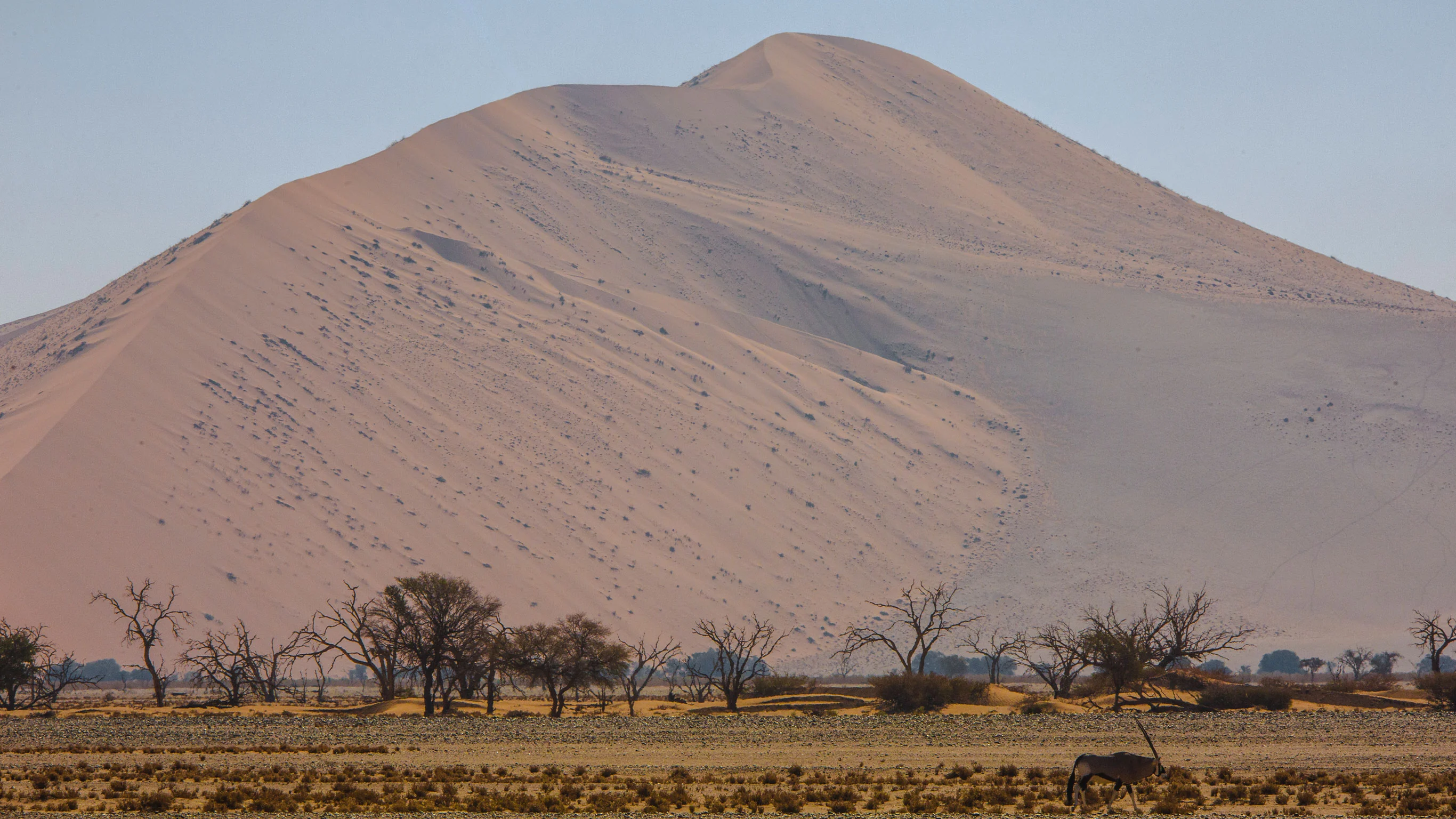 Cape Town, Kruger & Namibia Upgraded