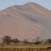 Cape Town, Kruger & Namibia Upgraded