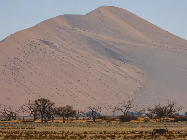 Cape Town, Kruger & Namibia Upgraded