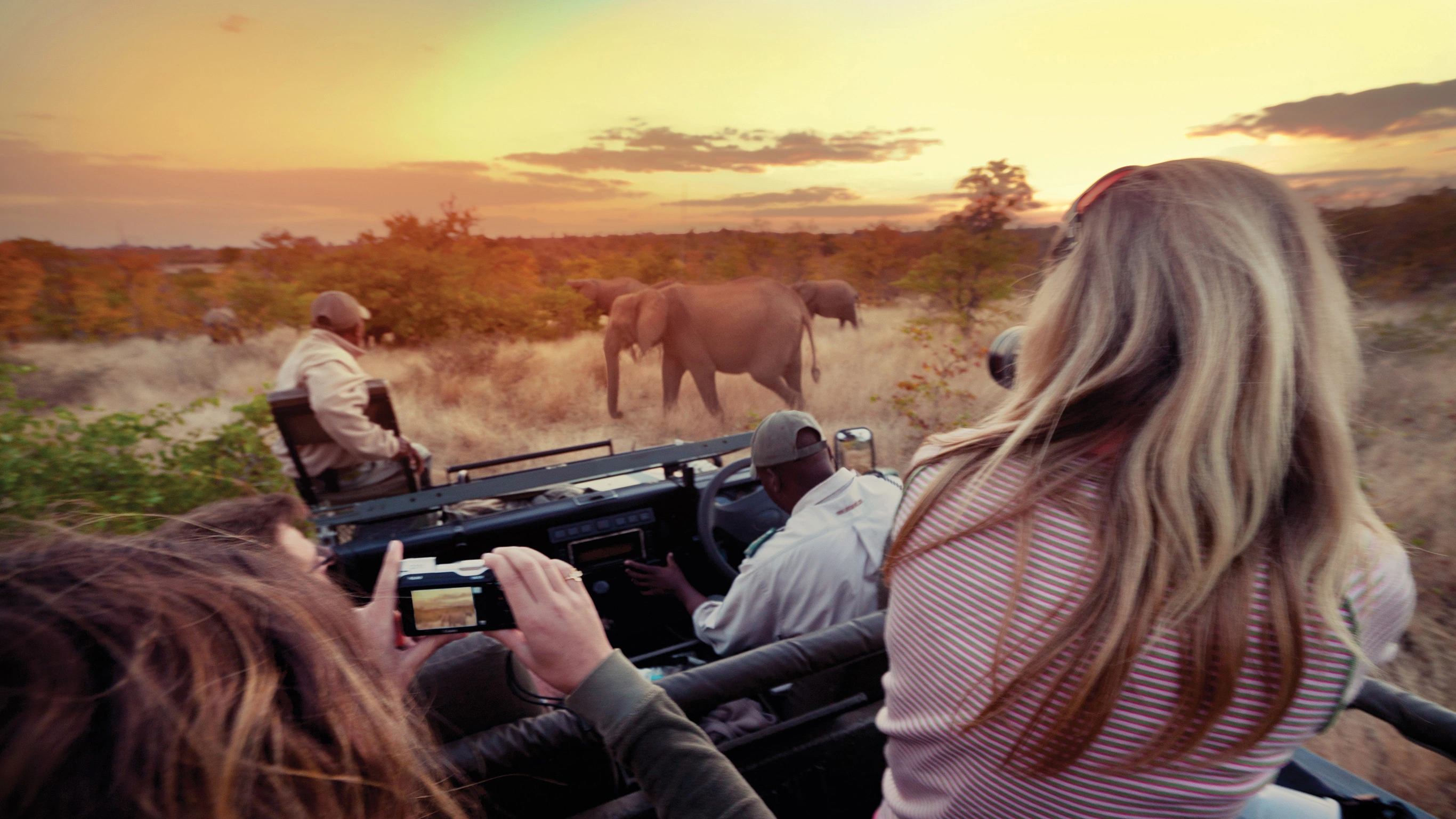 Explore Kruger National Park
