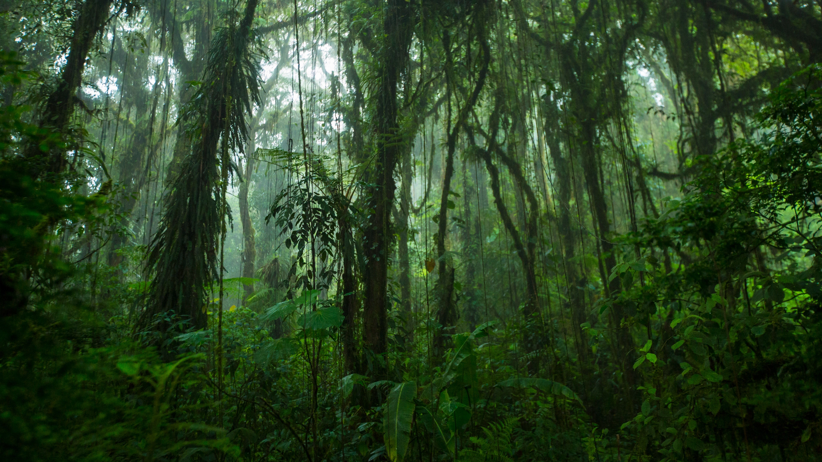 Costa Rica & Panama Quest