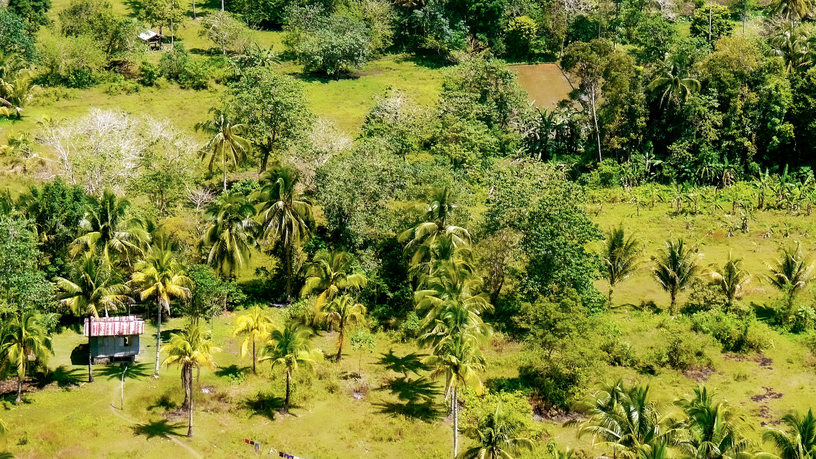 Northern Philippines on a Shoestring