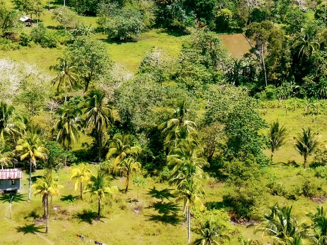 Northern Philippines on a Shoestring