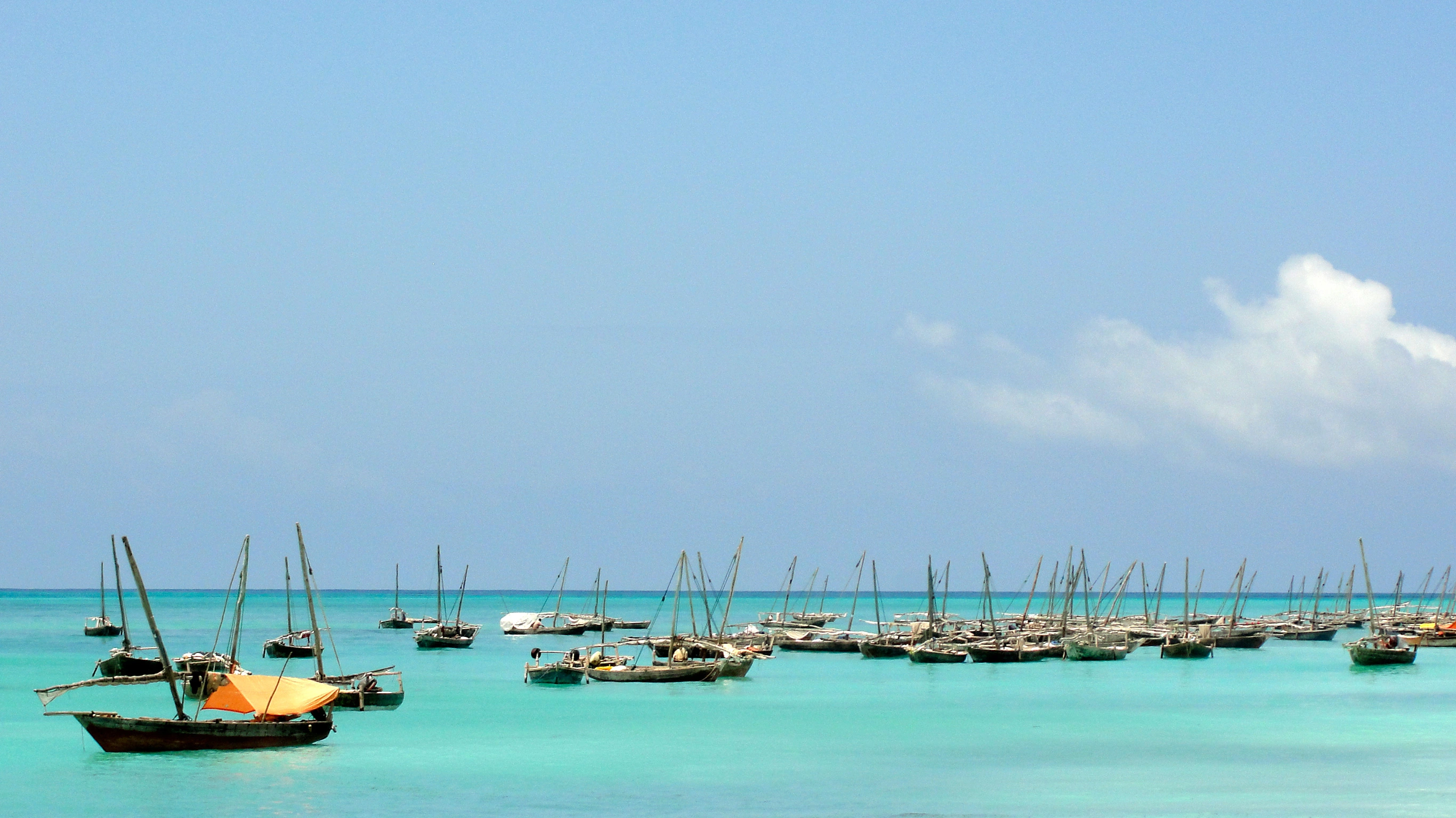 Zanzibar Independent Adventure