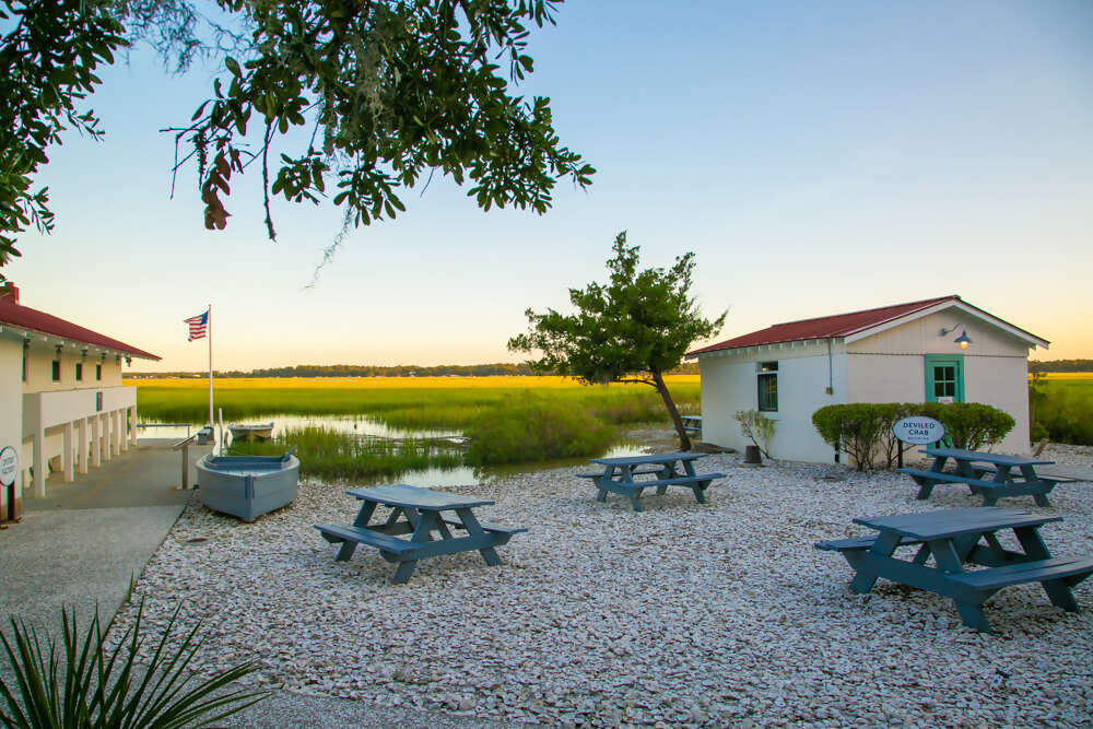 Spotlight on Savannah