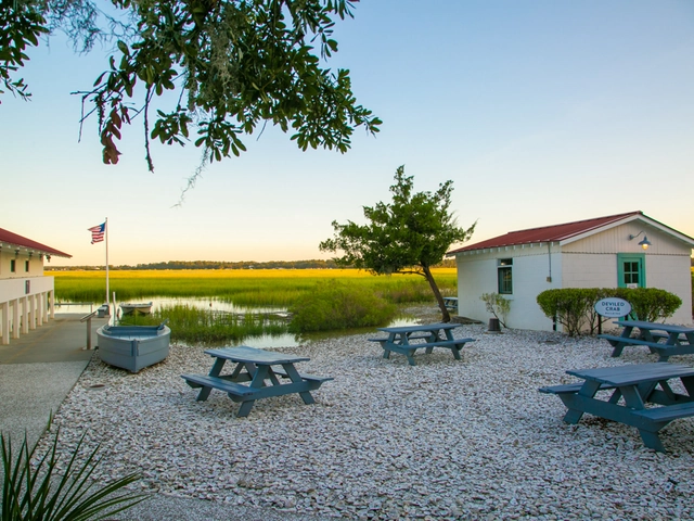 Spotlight on Savannah