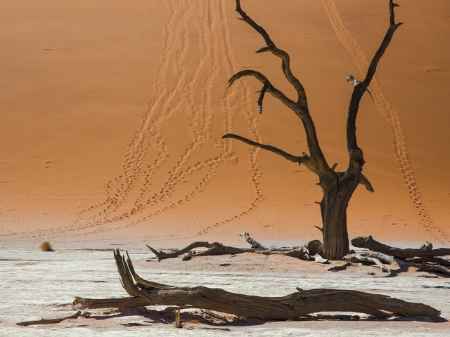 Dunes, Deltas & Falls Discoverer