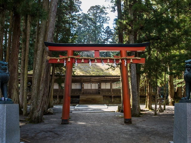 Japan Express: Osaka to Tokyo