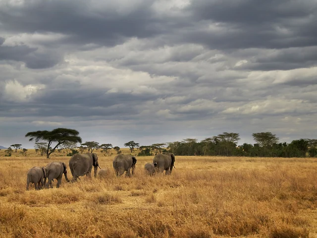 Masai & Tanzania Camping Safari