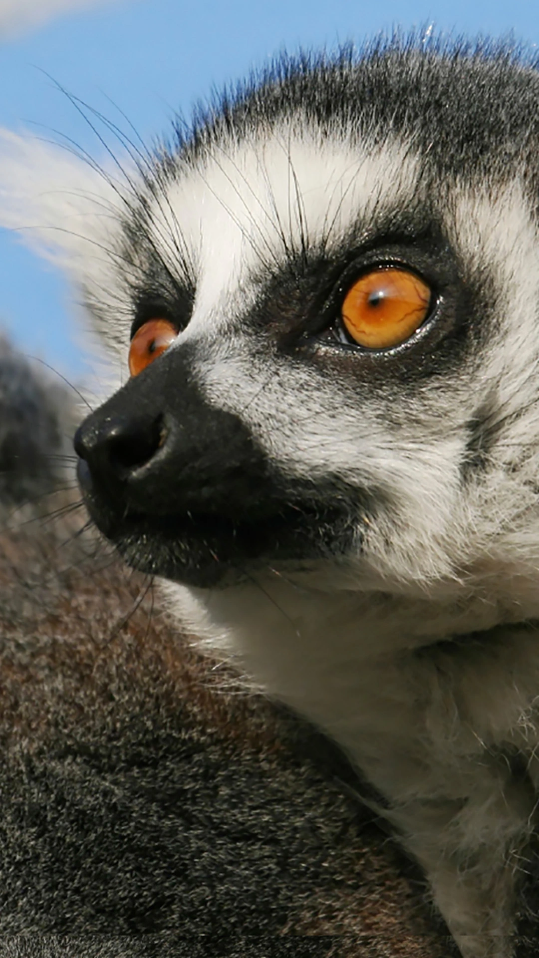 Highlights of Madagascar