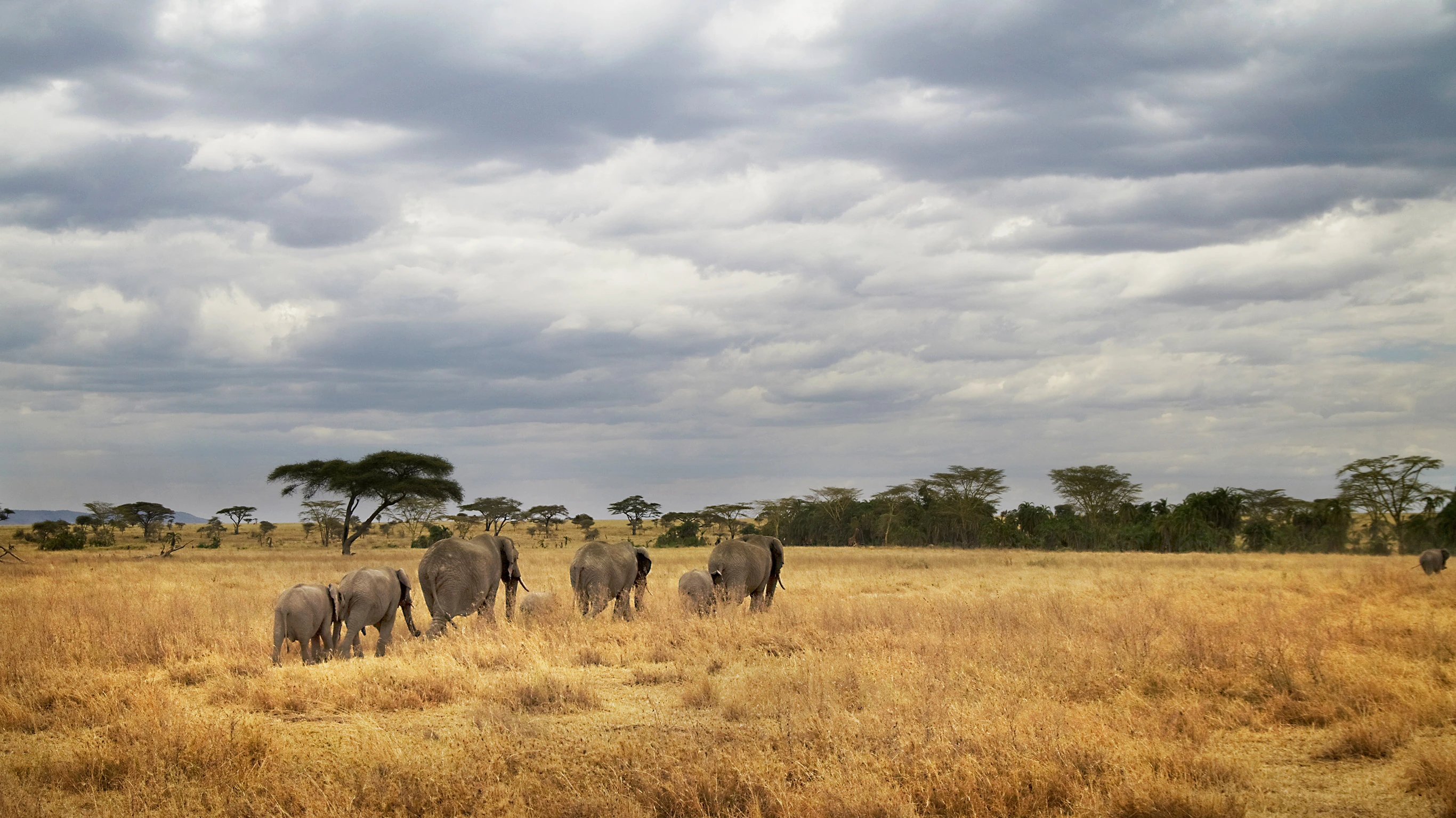 Tanzania Camping Adventure
