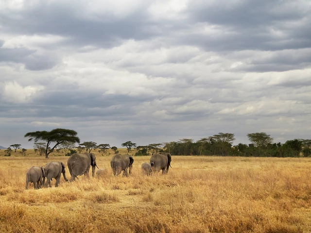 Tanzania Camping Adventure