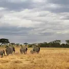 e7e492a73353ec2c9d08b68a3f31fd64.jpg