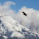 69af497ac733aeceddfccc54d18c525d.jpg