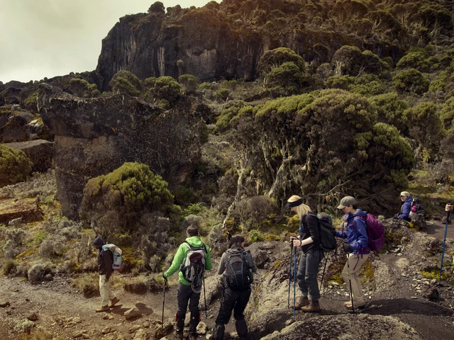 Mt Kilimanjaro Trek - Machame Route (8 Days)