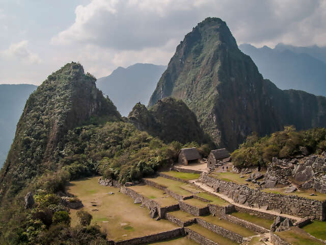 Inca Discovery Plus