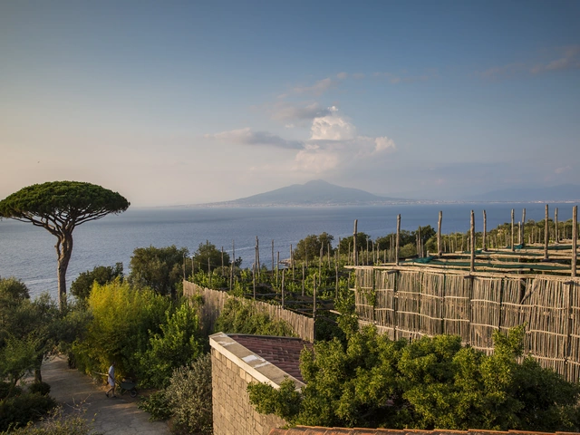 Local Living Italy—Sorrento