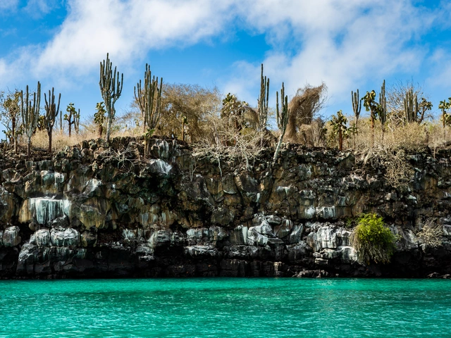 Galápagos Adventure: Snorkelling & Sea Lions
