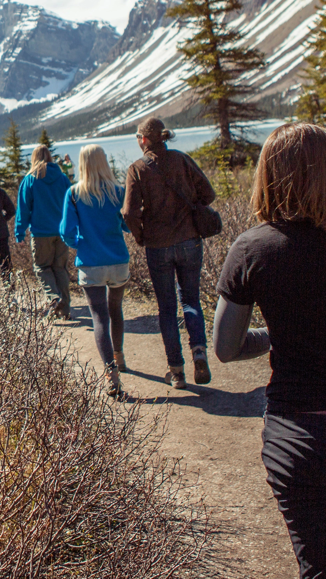 Canadian Rockies: National Parks Eastbound