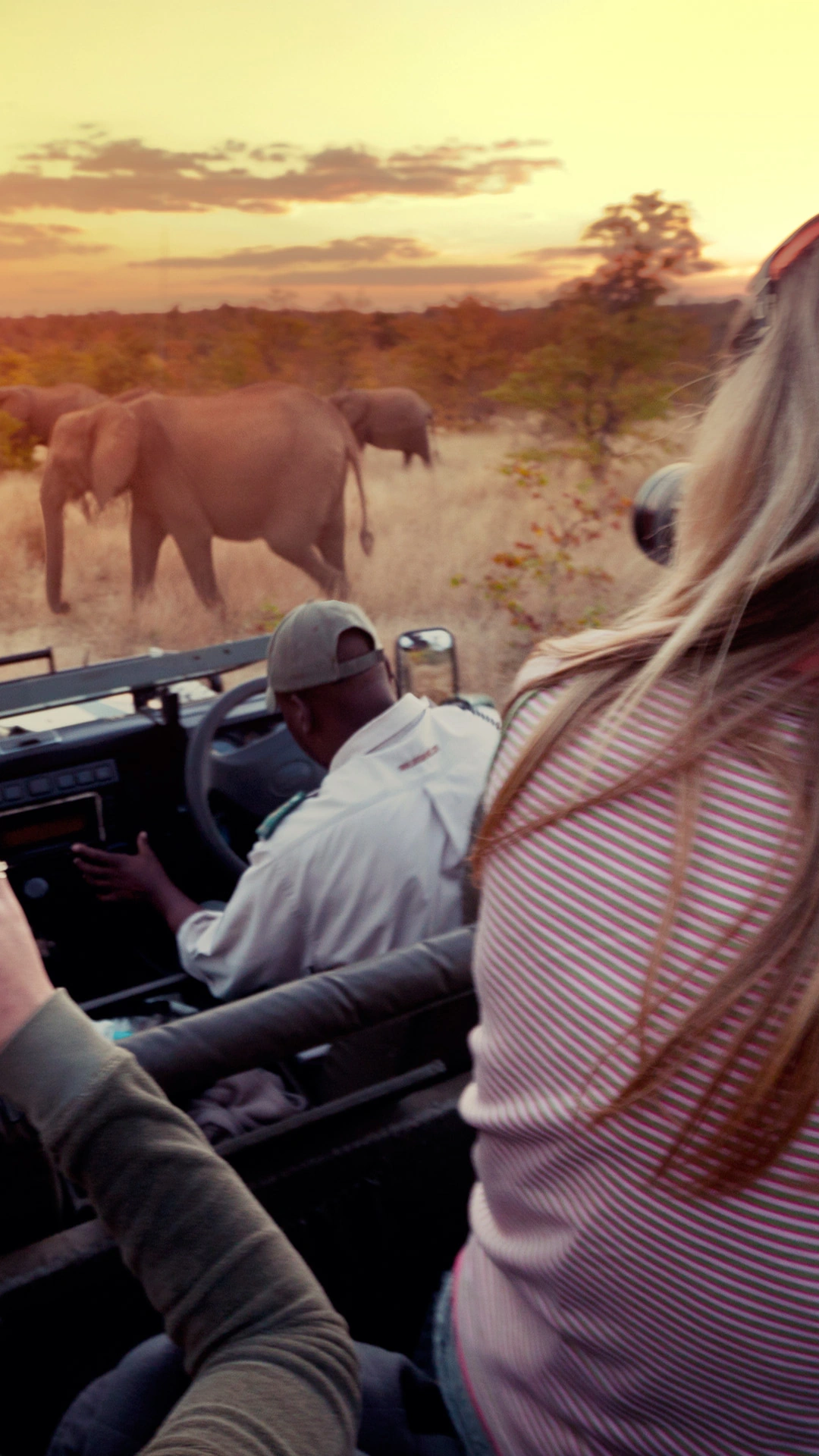 Highlights of Southern Africa