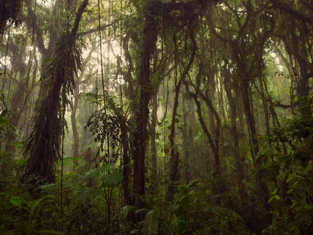 Natural Highlights of Costa Rica