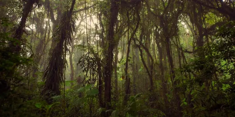 Natural Highlights of Costa Rica
