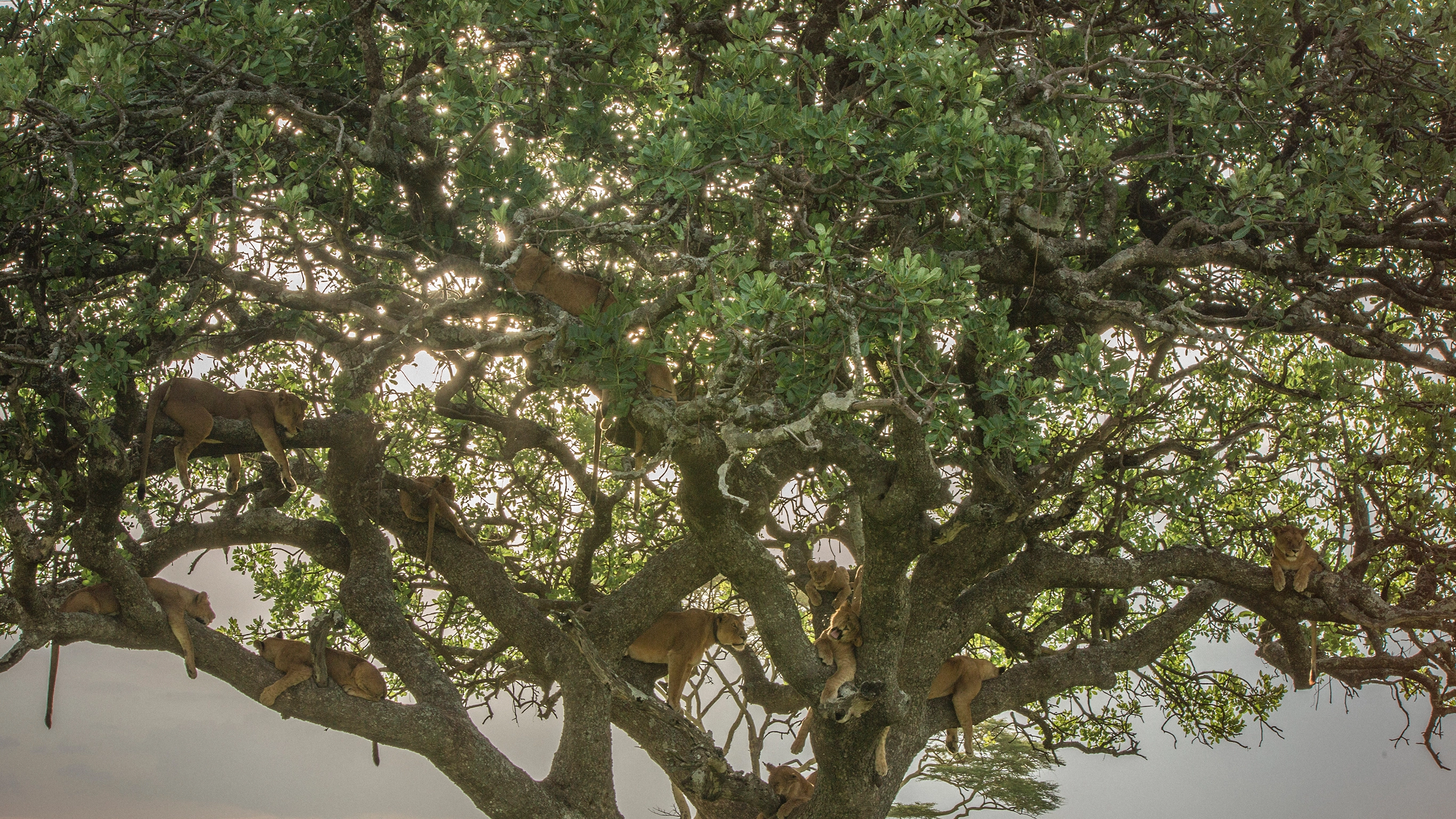 Nairobi to Joburg Overland: Craters & Camping