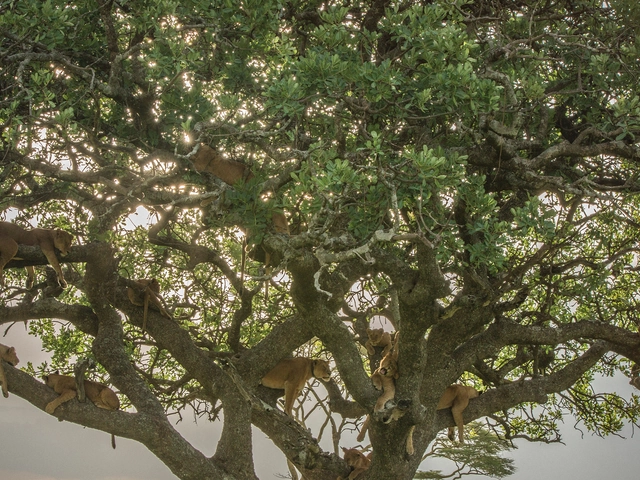 Nairobi to Joburg Overland: Craters & Camping