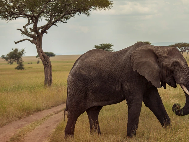 Victoria Falls & Serengeti Overland: Lakes & Landos