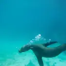 01d6b0600c05253748938ec3e2851668.jpg
